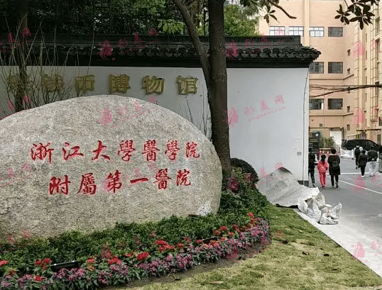 浙江大学附属第一医院整形外科