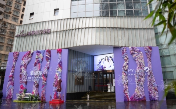 上海美莱医疗美容医院