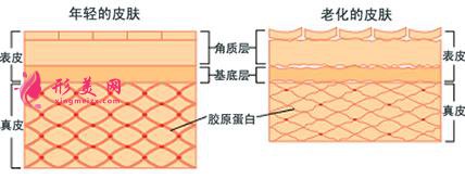 热玛吉紧肤价格