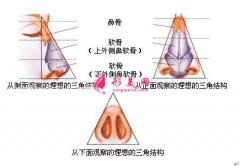 北京整形医院鼻尖整形的价格是多少，效果怎么样！