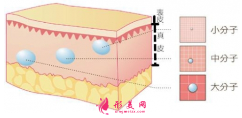 玻尿酸填充脸部多久才能定型